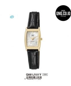 Jam Tangan Q&Q Original Q881J101Y