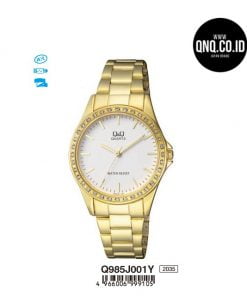 Jam Tangan Q&Q Original Q985J001Y