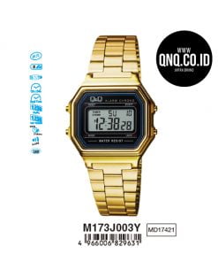 Jam Tangan Q&Q Original M173J003Y