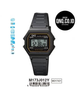 Jam Tangan Q&Q Original M173J012Y