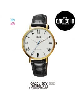 Jam Tangan Q&Q Original QA20J107Y