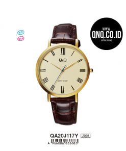 Jam Tangan Q&Q Original QA20J117Y