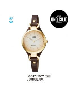 Jam Tangan Q&Q Original QB17J100Y
