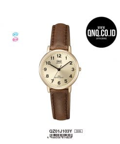 Jam Tangan Q&Q Original QZ01J103Y