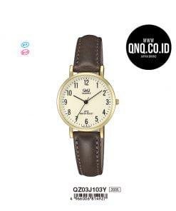 Jam Tangan Q&Q Original QZ03J103Y