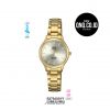 Jam Tangan Analog Superior Q&Q Original S279J001Y