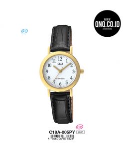 Jam Tangan Analog Q&Q Original C18A-005PY