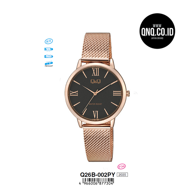 Jam Tangan Analog Q&Q Original Q26B-002