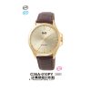 Q&Q C36A010PY Jam Tangan Pria