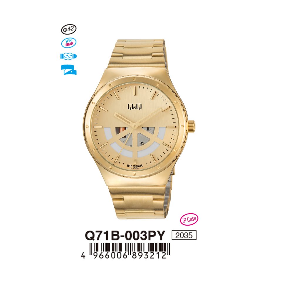 Q&Q Q71B003PY Jam Tangan Pria
